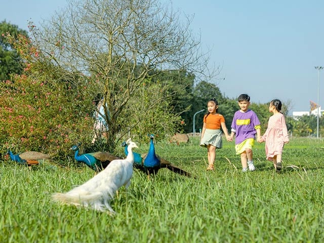 Những ai từng đến khu đô thị Ecopark đều ấn tượng với không gian sống giữa thiên nhiên