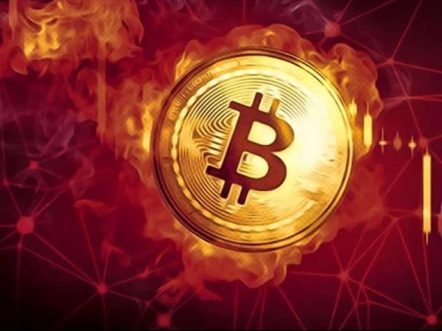 Bitcoin lao dốc mạnh, nhà đầu tư hoảng loạn, Elon Musk mất ngôi giàu thứ 2 TG
