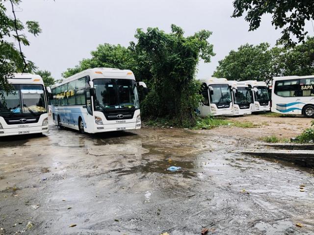 Doanh nghiệp vận tải “đắp chiếu” 90% xe, không có đường lùi vì Covid-19
