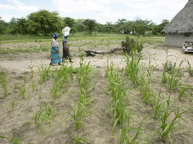 Zimbabwe: Chống trả kẻ hiếp dâm, cô gái bị truy tố tội giết người