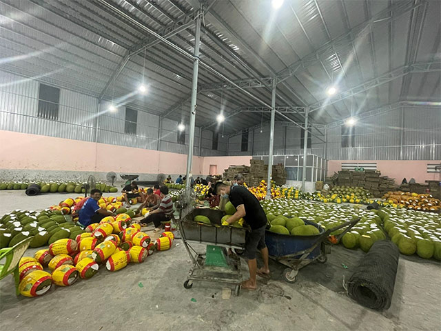 Vựa trái cây Tiến Phát chuyên thu mua xuất khẩu trái cây, mít – sầu riêng