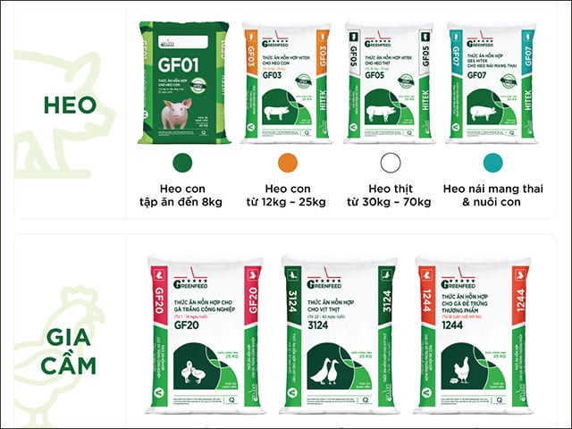 Thức ăn chăn nuôi GREENFEED: Đổi mới không ngừng, hướng tới hiệu quả bền vững